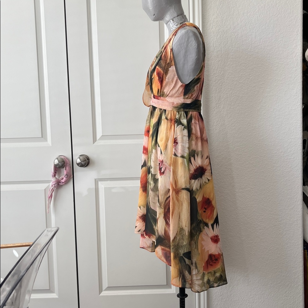 Haute Hippies Plunge Sunflower V Neck Draped Midi A Line Chiffon Crepe Dress - Picture 9 of 12